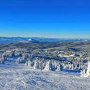 kopaonik-ski-staza-suma-brda