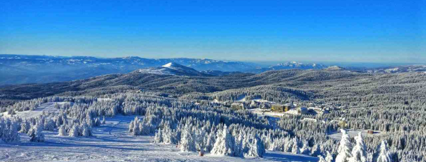 kopaonik-ski-staza-suma-brda