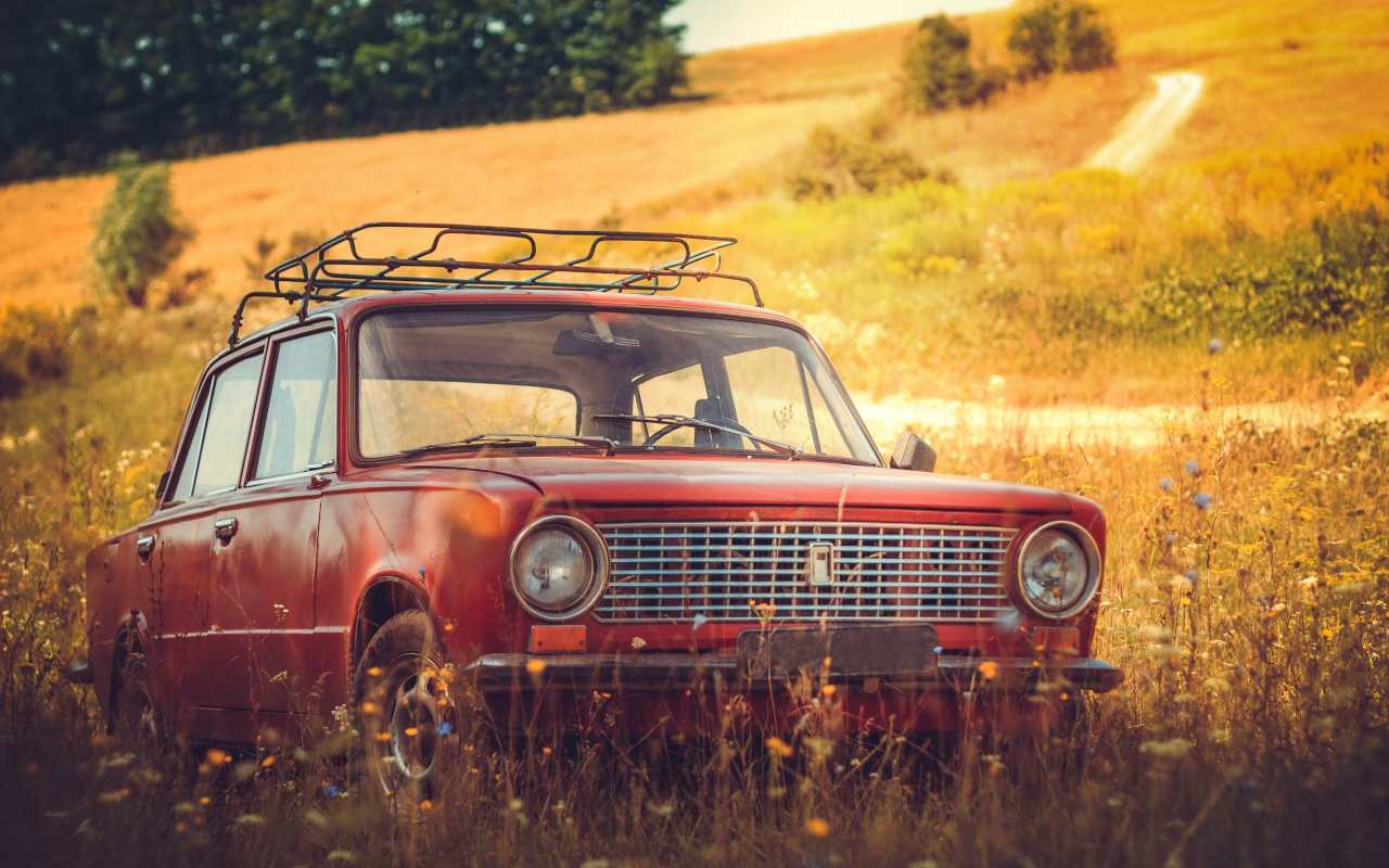 auto-livada