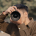 Fotograf